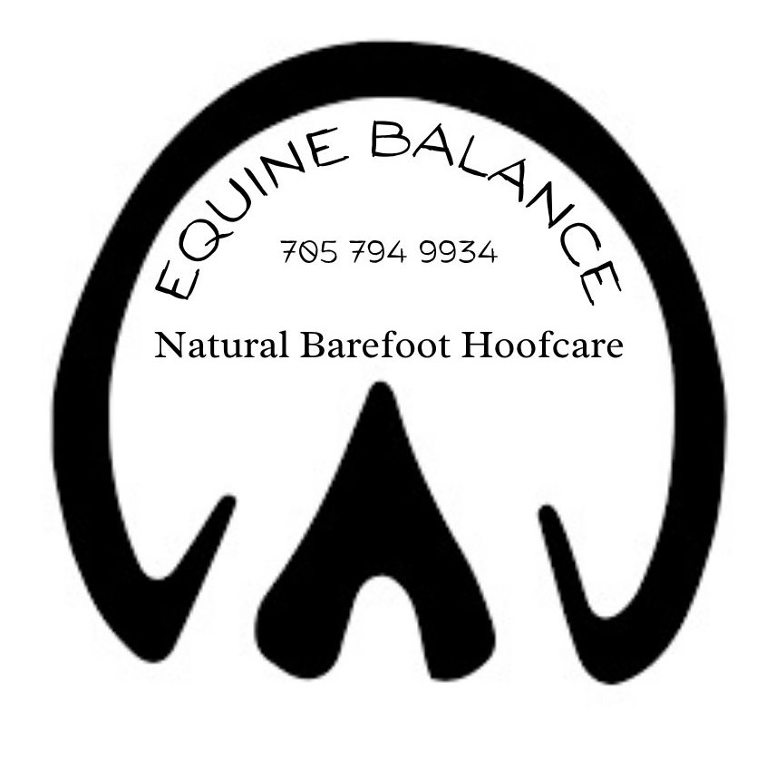 Equine Balance